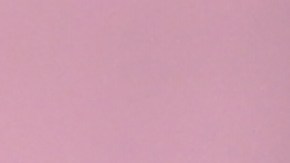 El técnico español dio detalles sobre la llegada de nuevos jugadores.