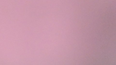 El técnico español dio detalles sobre la llegada de nuevos jugadores.