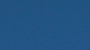 Las manifestacicones se darán en todo EEUU. / Foto: Getty.