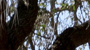 Gobierno de EE.UU. alcanza acuerdo de $127 millones con las víctimas de tiroteo en Parkland