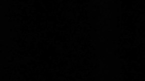 Mike Pence Donald Trump Partido Republicano Putin