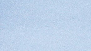 Carolina del Sur Tiroteo