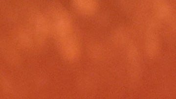 Salma Hayek | Getty Images