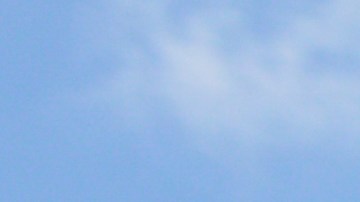 Dron