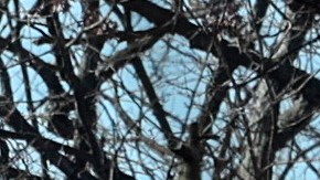 Explosión destruye edificio en Maryland