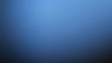 El Querétaro jugará un año a puerta cerrada.