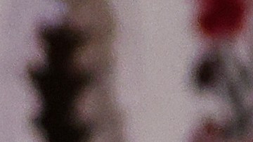 Catedral ucraniana de San Vladimir en L.A.