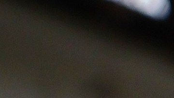 LOS ANGELES, CALIFORNIA - MARCH 15: A "For Lease" sign is posted in front of a house available for rent on March 15, 2022 in Los Angeles, California. Single-family rental home prices are soaring and increased a record 12.6 percent in January compared to the previous year, according to new data from CoreLogic. (Photo by Mario Tama/Getty Images)