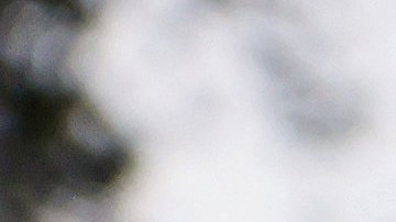 LOS ANGELES, CALIFORNIA - MARCH 15: A "For Lease" sign is posted outside a house available for rent on March 15, 2022 in Los Angeles, California. Single-family rental home prices are soaring and increased a record 12.6 percent in January compared to the previous year, according to new data from CoreLogic. (Photo by Mario Tama/Getty Images)