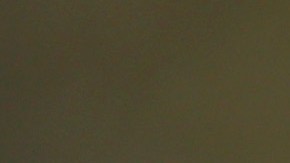 Hamilton ha pedido por los derechos humanos de las personas.