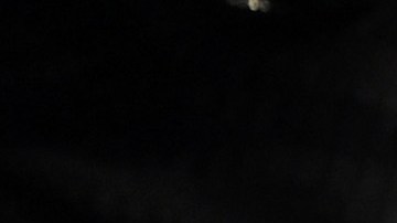 El brasileño ahora entrará en una de las mejores ligas de la MMA.