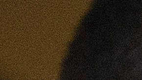 Congresista republicano FBI Los Ángeles Nebraska