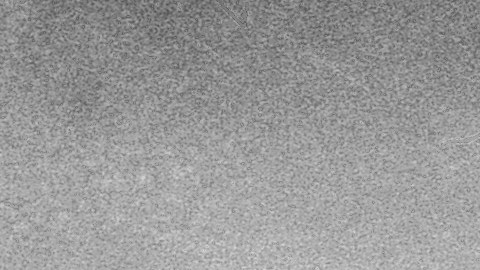 La gripe española causó entre 20 y 40 millones de muertes en todo el mundo.