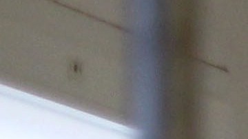 View of the Domenjod prison on October 16, 2014 in Saint-Denis de la Reunion on the French Indian Ocean island of La Reunion. AFP PHOTO RICHARD BOUHET (Photo credit should read RICHARD BOUHET/AFP via Getty Images)