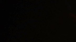 Accidente de tránsito arrollamiento asesinato Tampa