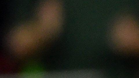 Chicharito