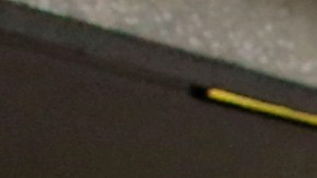 Dan orden de captura contra mujer que escupió a policía e intentó huir en maleta "motorizada" en Florida