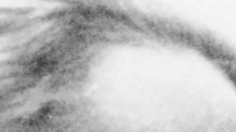 Traudl Junge aseguró que Adolf Hitler siempre fue un hombre carismático y cariñoso dentro de su ambiente.