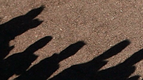 El dominicano falleció en su hogar.