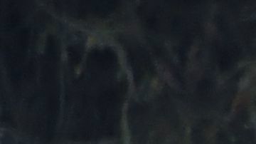 A Bakersfield police vehicle makes patrols on November 17, 2017 in Bakersfield, Kern County, California. "In recent years, Kern County Sheriff's deputies shot and killed considerably more people than law enforcement agencies in areas of equivalent population sizes," the American Civil Liberties Union (ACLU) said in a recent report. "And the Bakersfield Police Department had the highest rate of police homicides per capita of the country's 60 largest police departments." / AFP PHOTO / FREDERIC J. BROWN / TO GO WITH AFP STORY by Veronique DUPONT, "Families condemn police brutality in California oil country" (Photo credit should read FREDERIC J. BROWN/AFP via Getty Images)