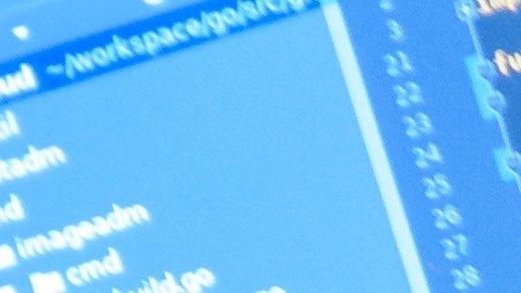 Hackers voluntarios de todo el mundo emprenden guerra digital contra Rusia
