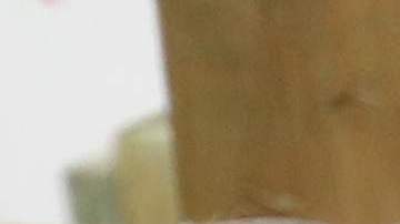 This picture taken on February 24, 2018, shows a cow in a paddock during a visit to the 55th International Agriculture Fair (Salon de l'Agriculture) at the Porte de Versailles exhibition center in Paris. / AFP PHOTO / POOL / ludovic MARIN (Photo credit should read LUDOVIC MARIN/AFP via Getty Images)