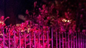 El agente Robert Duran tenía 7 años dentro del Departamento.