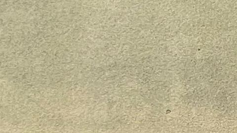 El programa de reinserción es muy importante porque la mayoría de los inmigrantes salen muy dañados de la detención migratoria. (Cortesía)