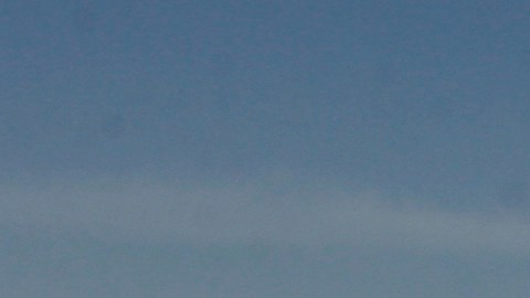 Hallan fósil de 36 millones de años de "monstruo marino" en desierto peruano