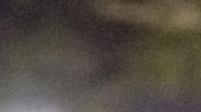 El gobernador republicano Ron DeSantis facilitará las acciones de ICE en Florida.