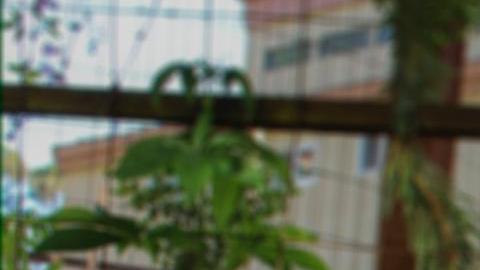 Diego Juárez muestra su trabajo de croché en tapiz. (Suministrada/Diego Juárez)