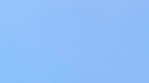 California planea revocar 17,000 licencias de conducir comerciales otorgadas a inmigrantes.