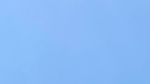 California planea revocar 17,000 licencias de conducir comerciales otorgadas a inmigrantes.