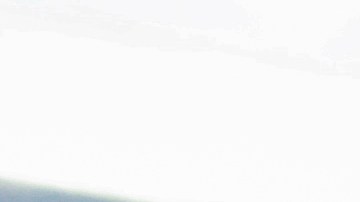 Aficionados de Querétaro.