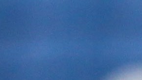 Aunque Kranevitter se disculpó por su acto, igual fue sancionado.