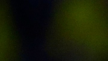 Águilas del América