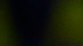 Las Águilas del América