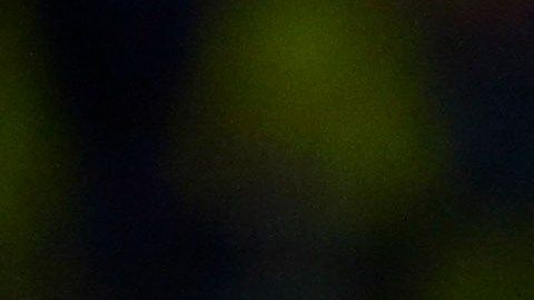 Las Águilas del América