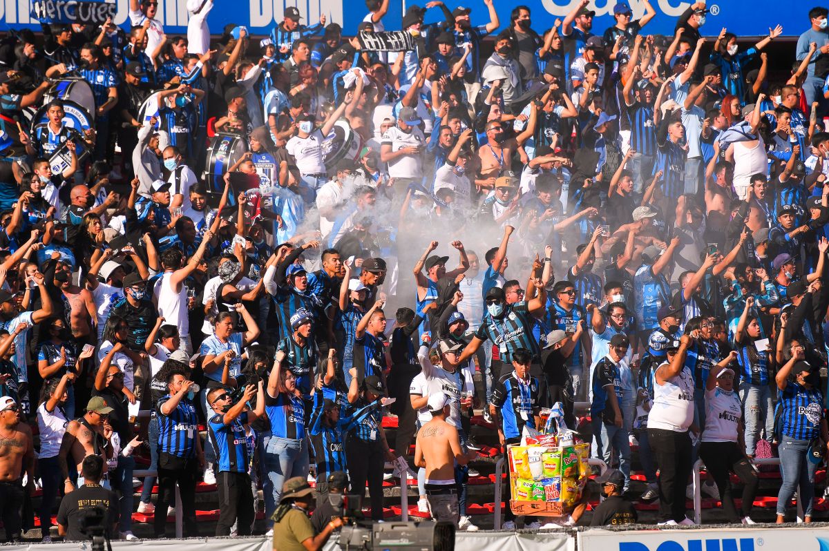 Gallos de pelea: La foto oficial del Torneo Clausura 2022 que Querétaro ya  no quiere que veas - La Opinión