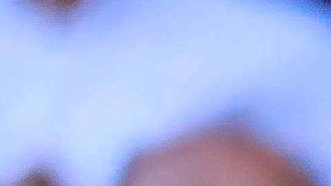 La jornada 9 se suspendió tras los hechos violentos.