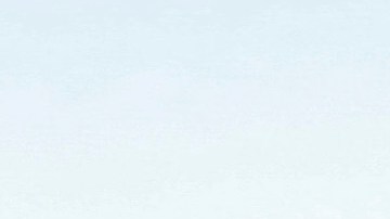 Gallos Blancos de Querétaro retomó su actividad en la Liga MX en partido contra el Necaxa.