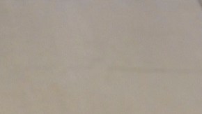 El técnico Marcelo Michel Leaño llegando al Estadio Akron para el Clásico Nacional.