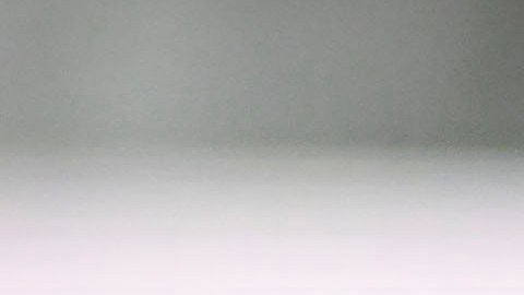 El proyecto de Marcelo Michel Leaño en las Chivas de Guadalajara no termina de despegar y la afición pide su salida.