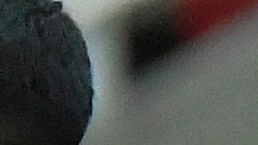 Águilas del América