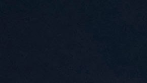 Pumas de la UNAM