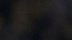 André-Pierre Gignac es el mejor jugador y garantía para que Tigres pueda levantar otro título en la Liga MX.