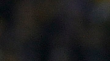 André-Pierre Gignac es el mejor jugador y garantía para que Tigres pueda levantar otro título en la Liga MX.