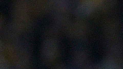 André-Pierre Gignac es el mejor jugador y garantía para que Tigres pueda levantar otro título en la Liga MX.