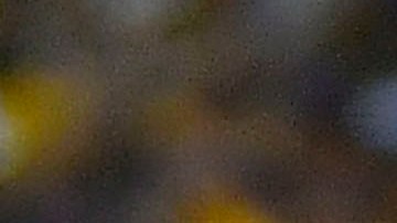 Florian Thauvin y André-Pierre Gignac, las figuras del encuentro.