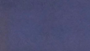 La Selección Mexicana celebra un gol.